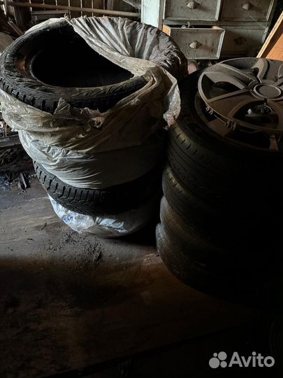 Nexen Winguard WinSpike WS62 23.5