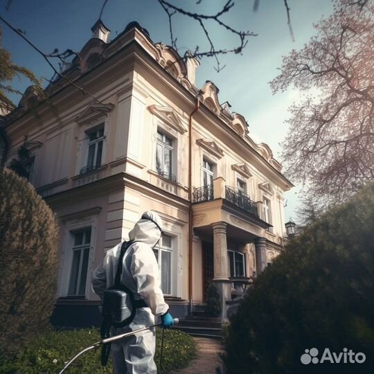 Дезинфекция от тараканов