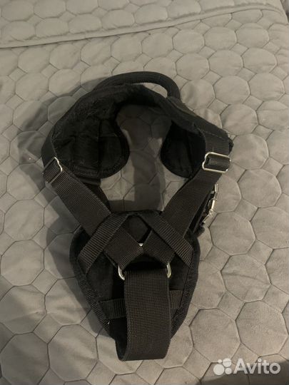 Шлейка для большой собаки