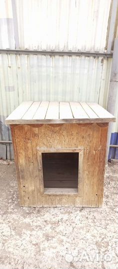 Собачья будка