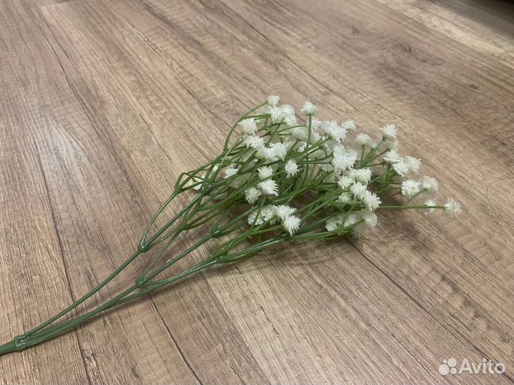 Гипсофила