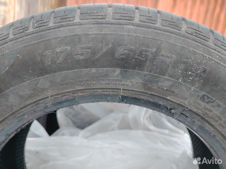 Sailun Atrezzo ECO 175/65 R14