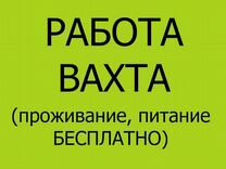 Маркировщица товаров. Еженедельные выплаты