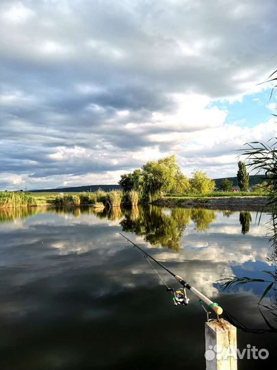 Аренда беседки