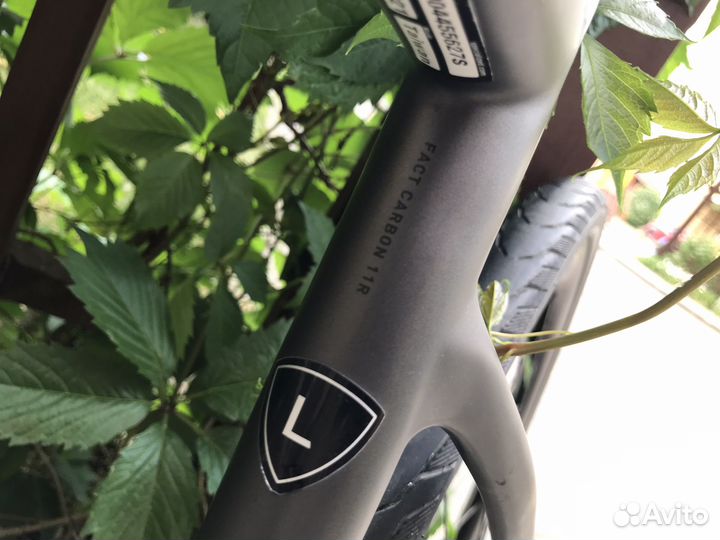 Specialized turbo Creo SL Expert