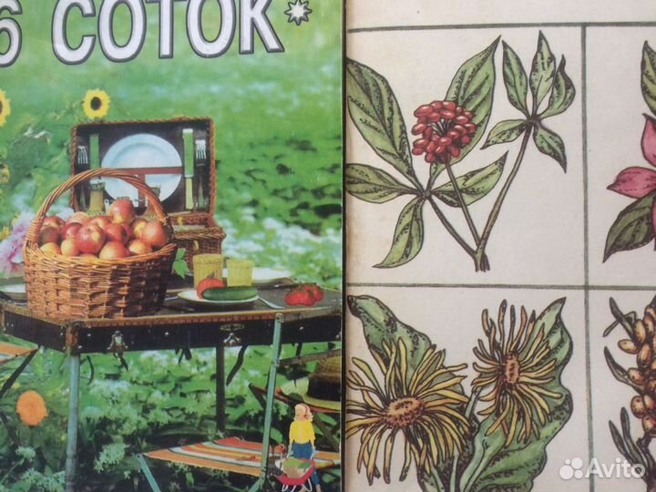 Книги для дачников