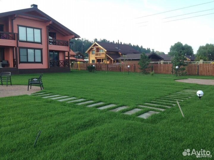 Рулонный газон прямо с полей