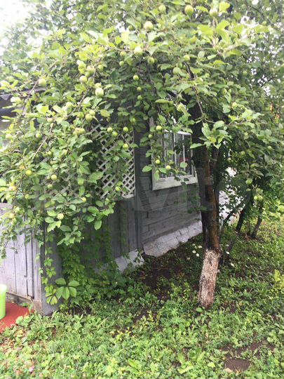 Дом 30 м² на участке 7 сот.