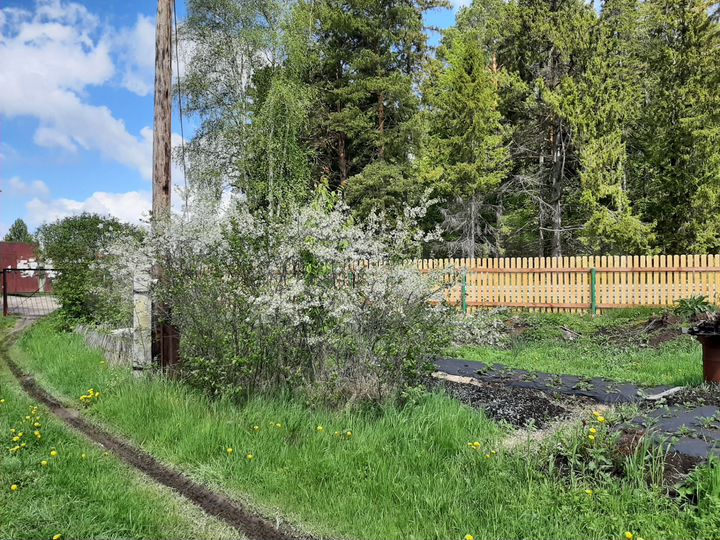 Дача 52 м² на участке 6 сот.