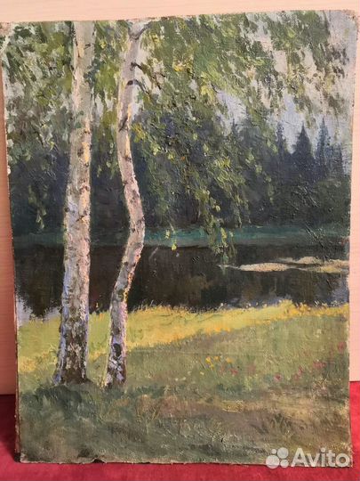 Картина Березы на берегу худ Андреев вп масло 1947