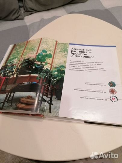 Комнатные растения практическая энциклопедия