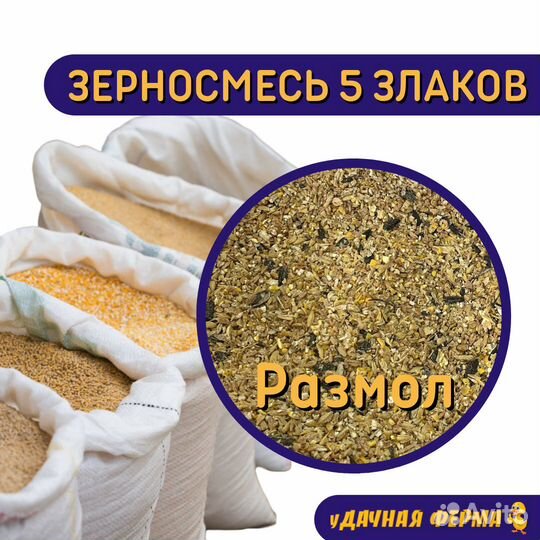 Зерносмесь 5 злаков (размол) 1 кг