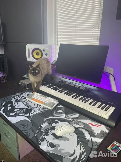 Студия звукозаписи infi (Клуб Рая)