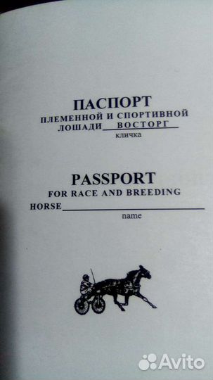 Жеребец русский рысак