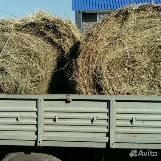 Сено в рулонах