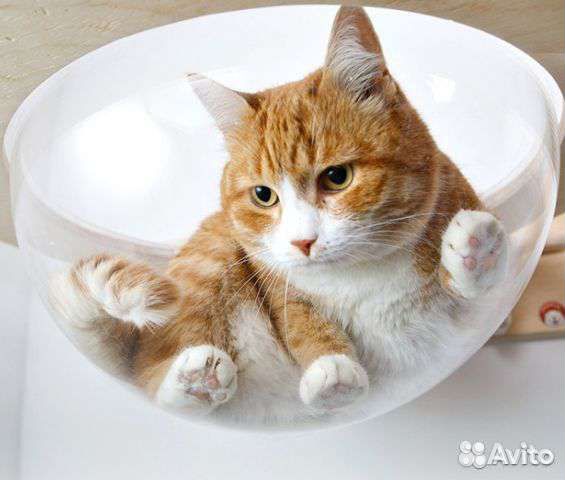 Гамак для кошки