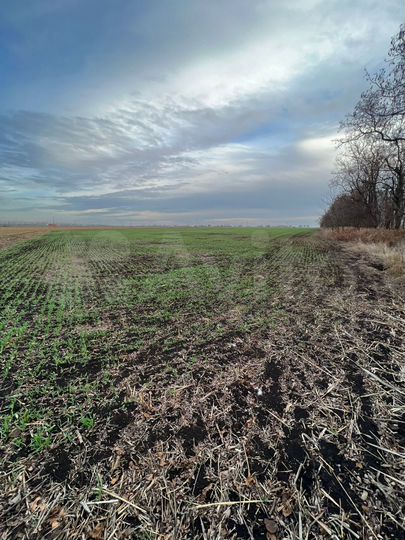 Участок 6,2 га (СНТ, ДНП)