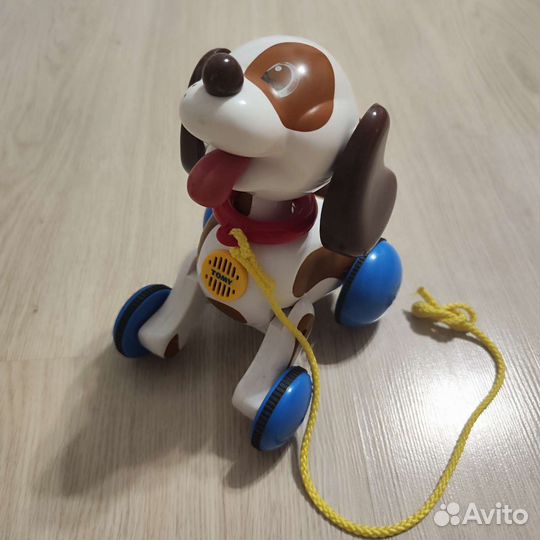 Собака робот