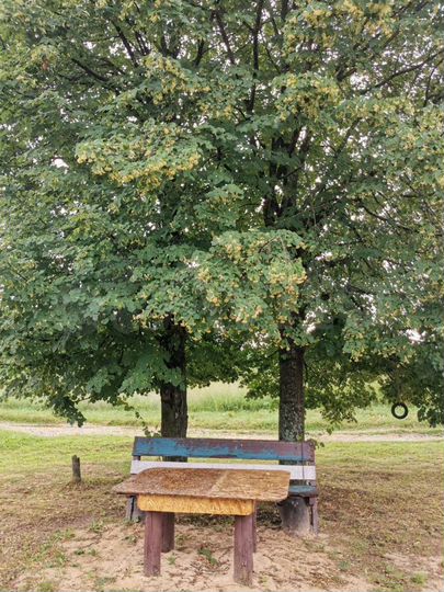 Дом 48 м² на участке 30 сот.