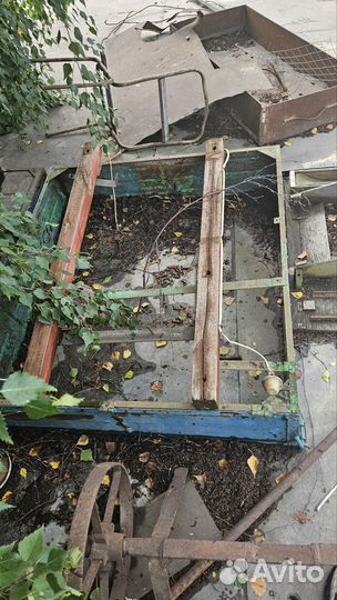 Кузов муравей