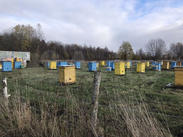 Участок 8 га (СНТ, ДНП)