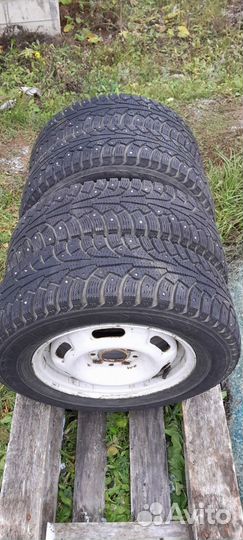 Nokian nordman 5 175 70 r13