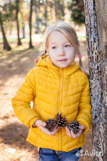 Пошив ветровок, курток оптом