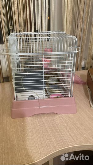 Клетка для джунгарского хомяка