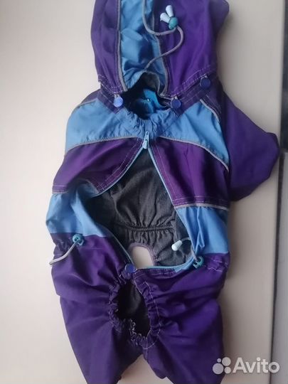 Одежда для средних собак