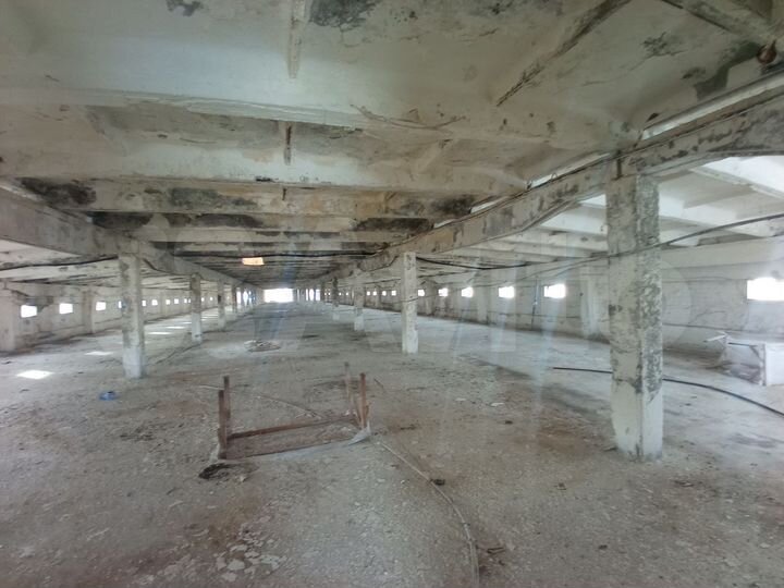 Участок 40 сот. (СНТ, ДНП)