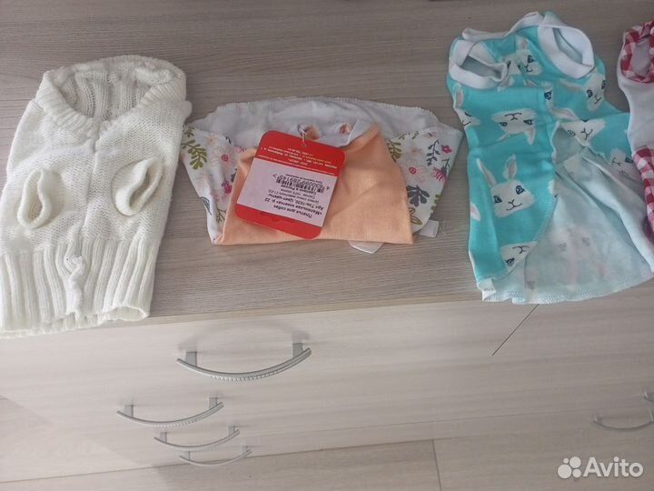 Вещи для мелких пород