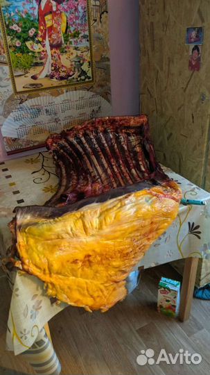 Конина, казы