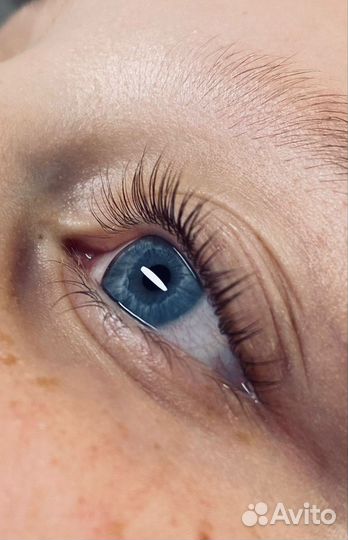 Ламинирование ресниц + ботокс