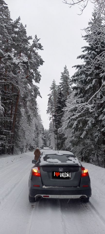Honda Crosstour: фото владельца