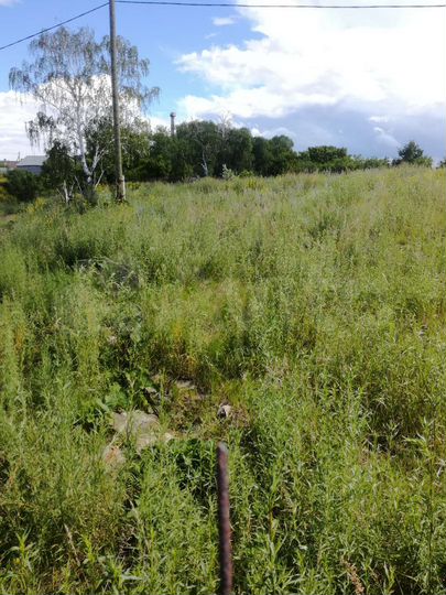 Участок 30 сот. (ИЖС)