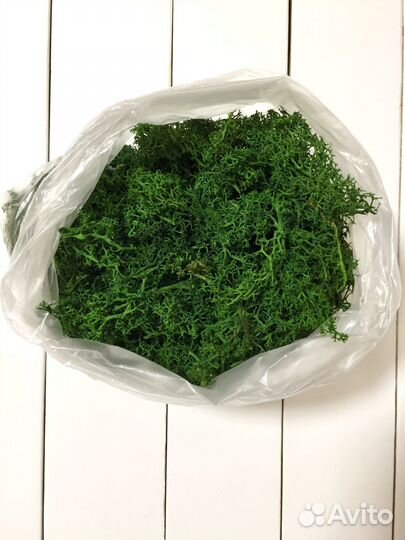 Обрезки мха для поделок