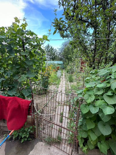 Дом 120 м² на участке 6,4 сот.