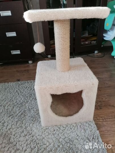 Кошачий домик