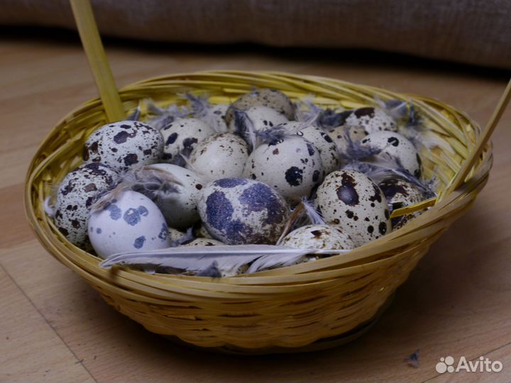 Яйца перепелиные золотой феникс