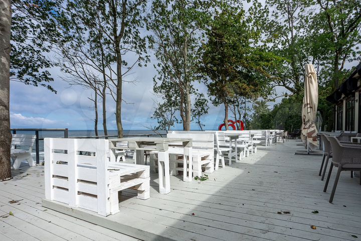 Общепит, 250 м²