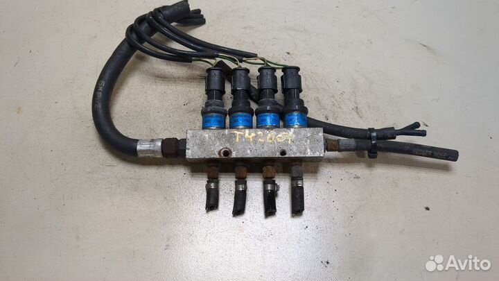 Форсунка газовая Citroen Berlingo, 2005