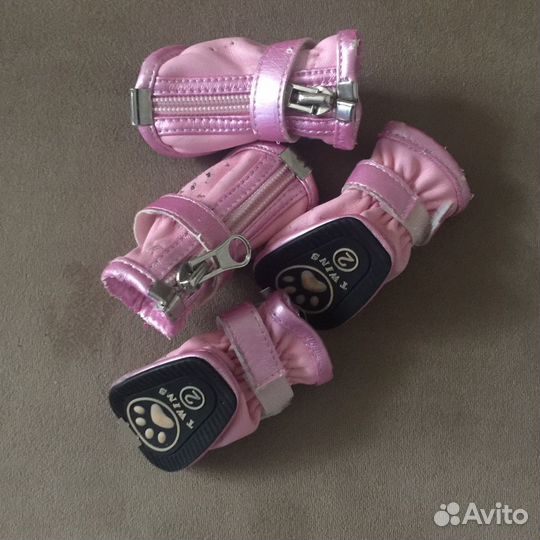 Обувь для собак