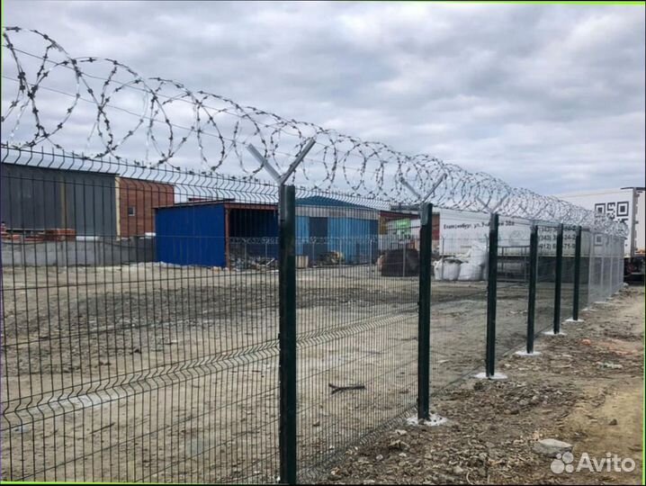 Колючая проволока Егоза