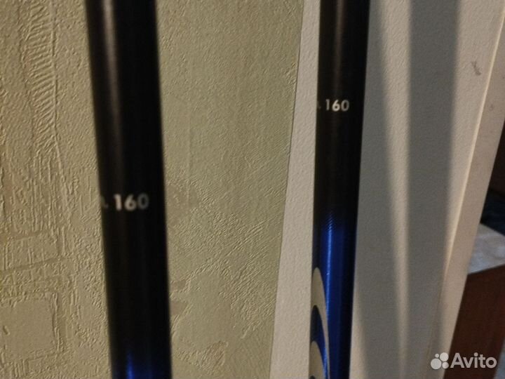 Лыжные палки