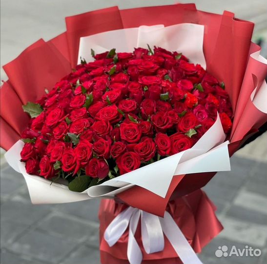 Красные Розы от 1шт