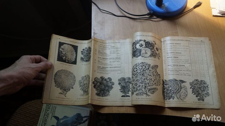 З152 семена каталог. семенная контора акц. общ. с