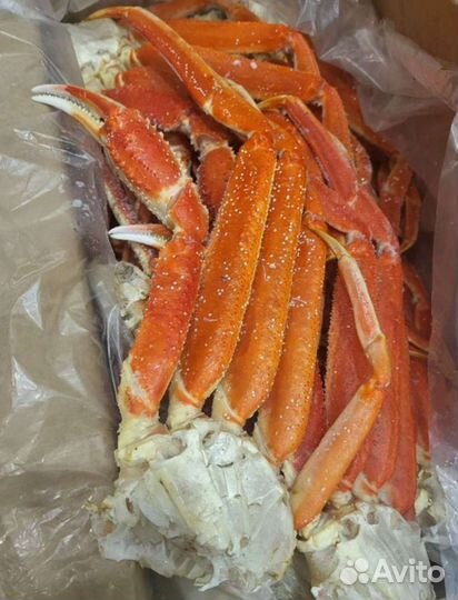 Конечности краба стригуна в/м