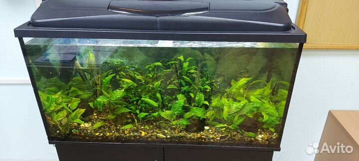 Аквариум с тумбой