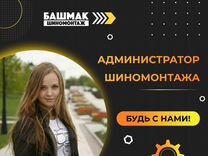 Администратор сети