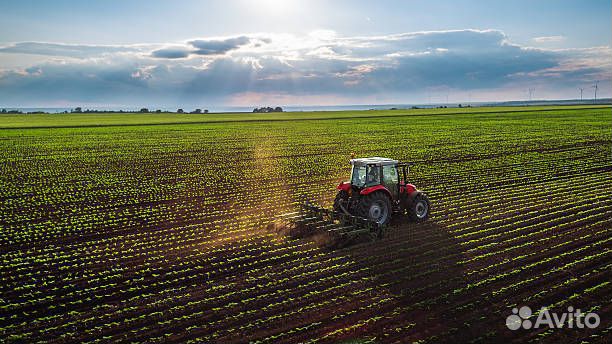 Тракторист